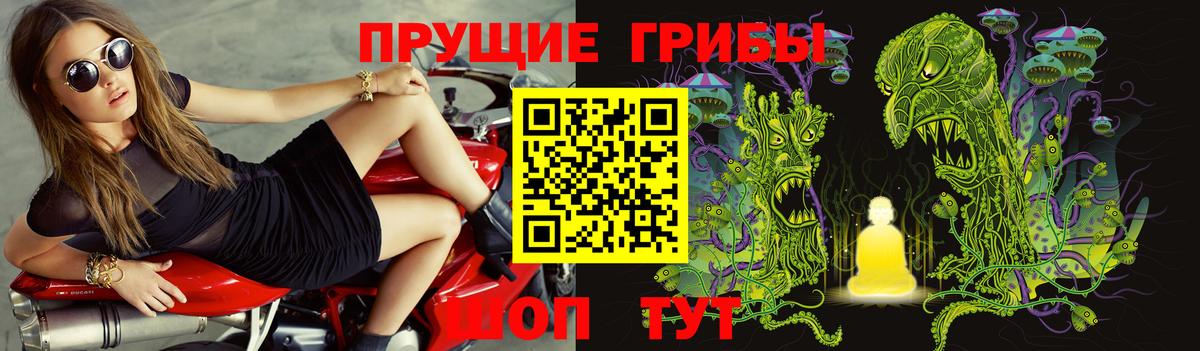 Псилоцибиновые грибы GOLDEN TEACHER Родники