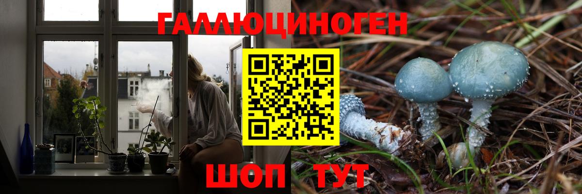 Родники  Галлюциногенные грибы мицелий  Псилоцибиновые грибы Psilocybe  Вход с VPN 